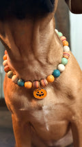Fall Boho