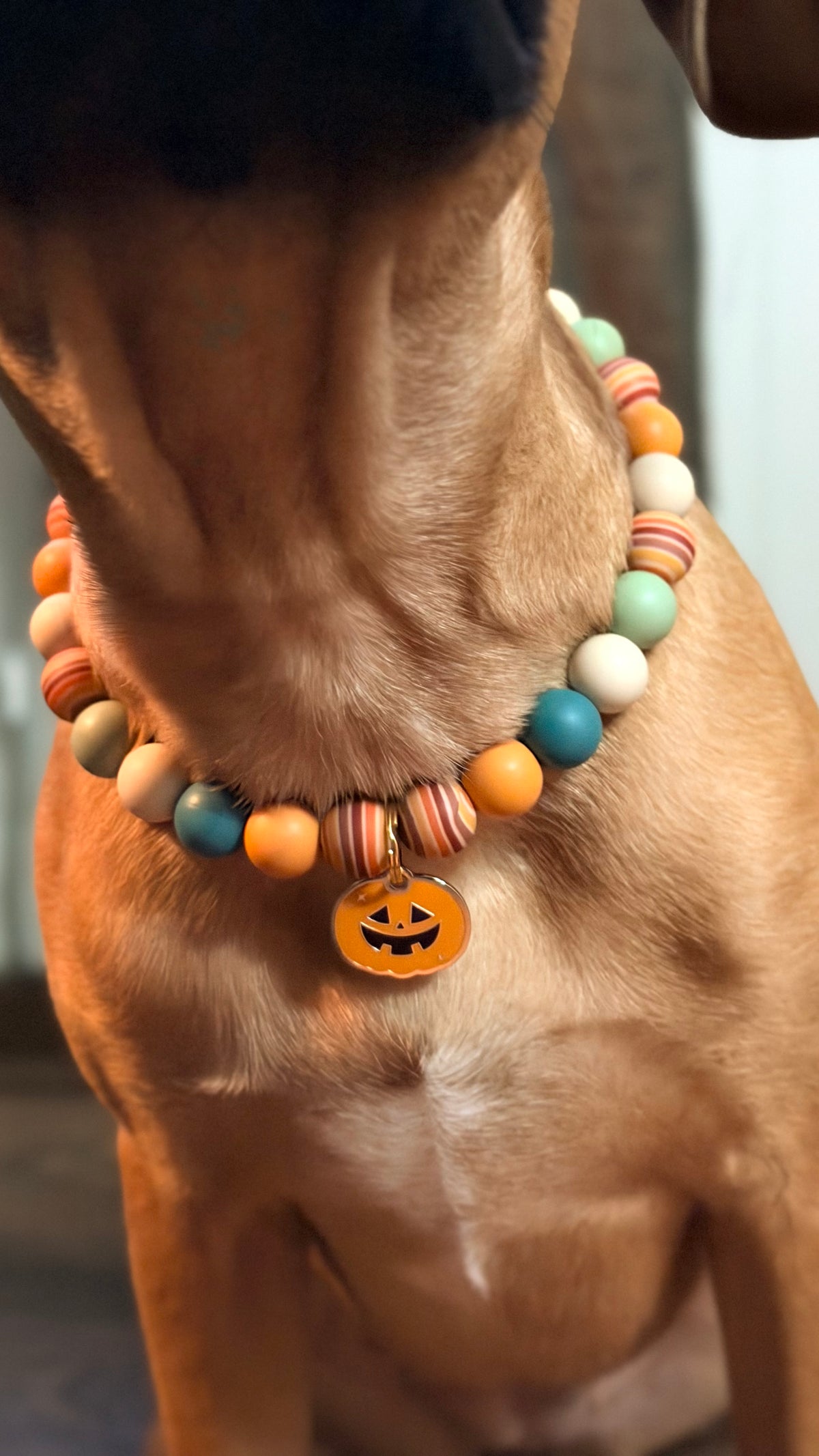 Fall Boho